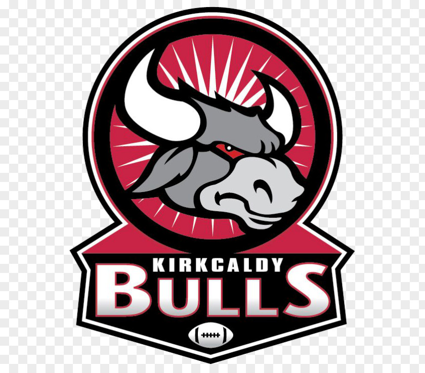 American Football Team South Florida Bulls Logo Flag Buffalo PNG