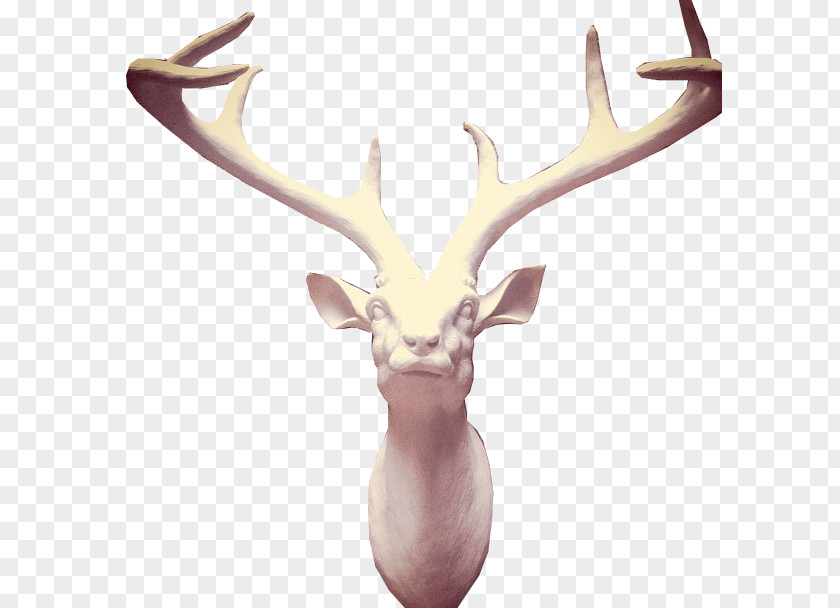 Deer Antler Doodle PNG