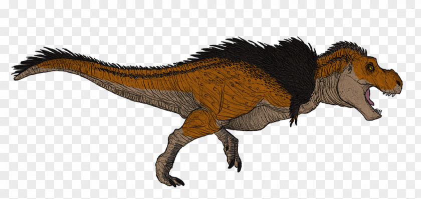 Dinosaur Tyrannosaurus Velociraptor Drawing DeviantArt PNG