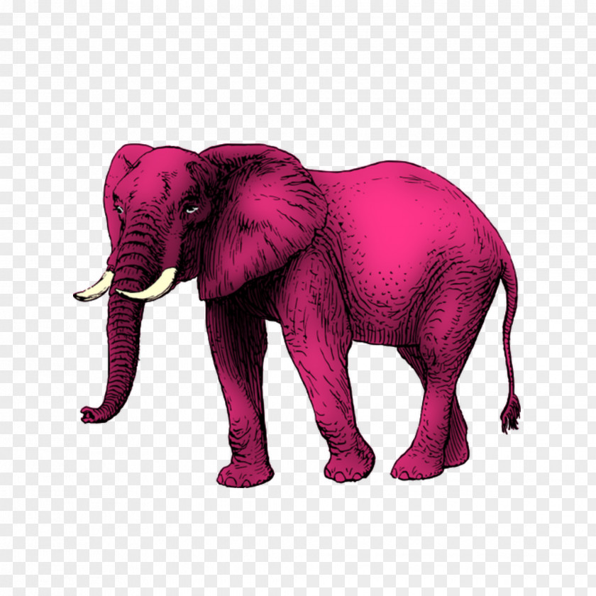 Elephant Motif African Free Clip Art PNG
