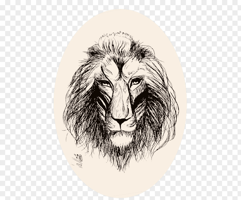 Lion Illustrator Roar Big Cat Sketch PNG