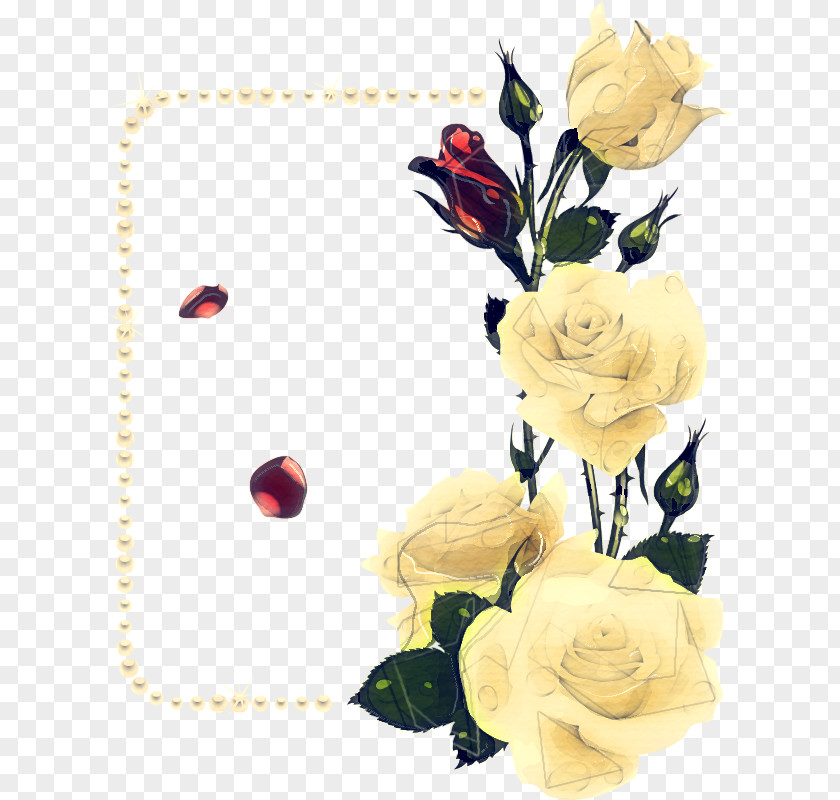 Petal Garden Roses Drawing Of Family PNG