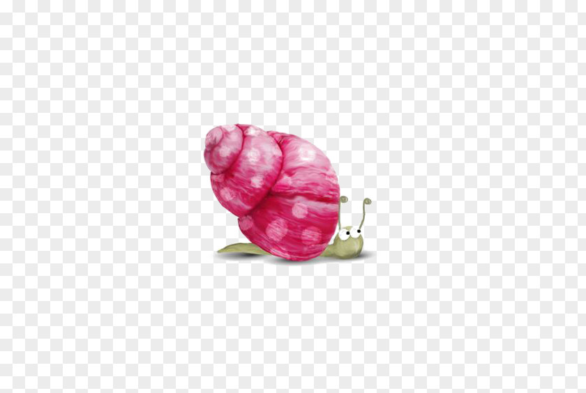 Pink Snail Escargot Gastropods PNG