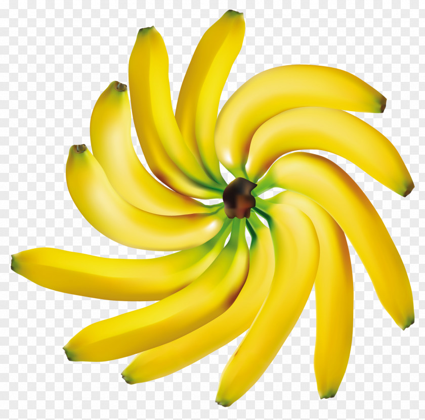 Banana Fruit Clip Art PNG