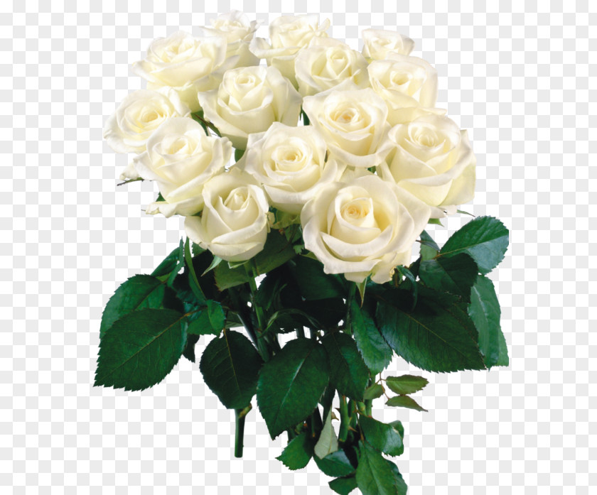 Birthday Flower Bouquet Букет з білих троянд Garden Roses Greeting & Note Cards PNG