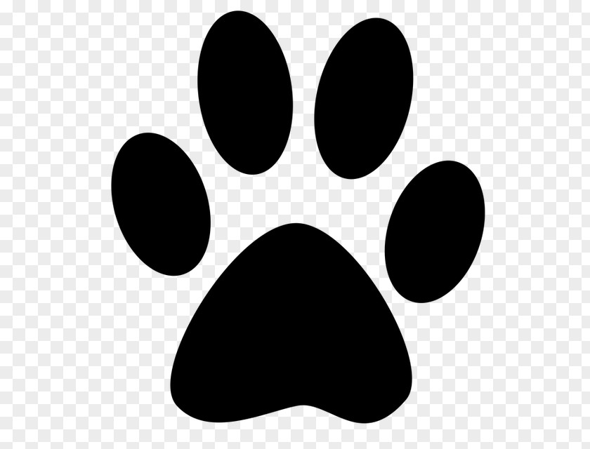 Cat Paw Dog Kitten Claw PNG