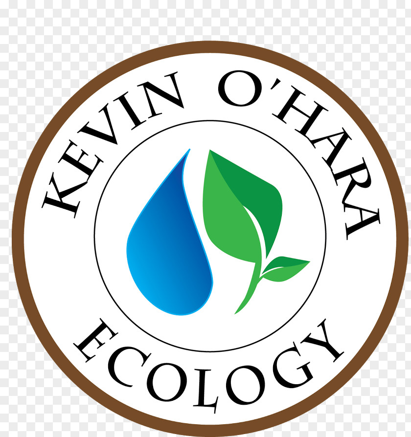 Clip Art Brand Logo Ecology Line PNG