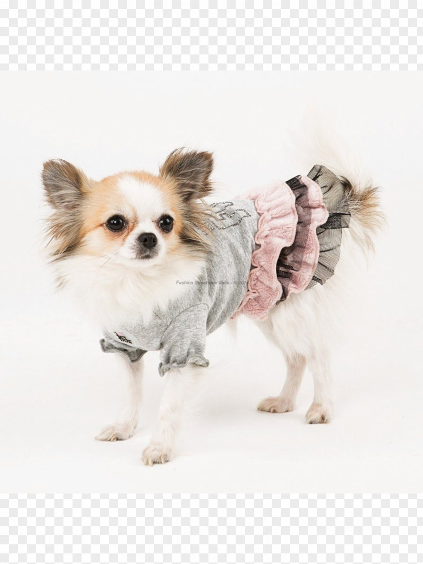 I Love Dogs Chihuahua Puppy Dog Breed Companion Toy PNG