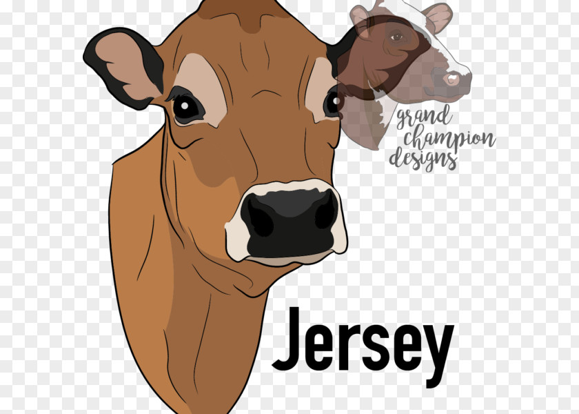 Jersey Cattle Dairy Holstein Friesian Shorthorn White Park PNG