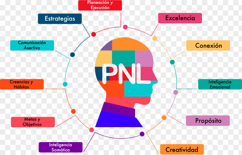 Pnl Neuro-linguistic Programming Neurolinguistics Coaching Communication PNG