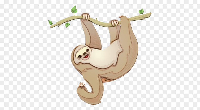 Sloth Cartoon Three-toed Tail Two-toed PNG