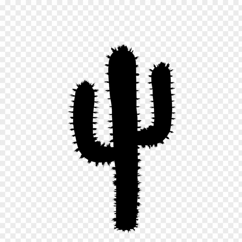 Triangle Cactus Clip Art San Pedro PNG