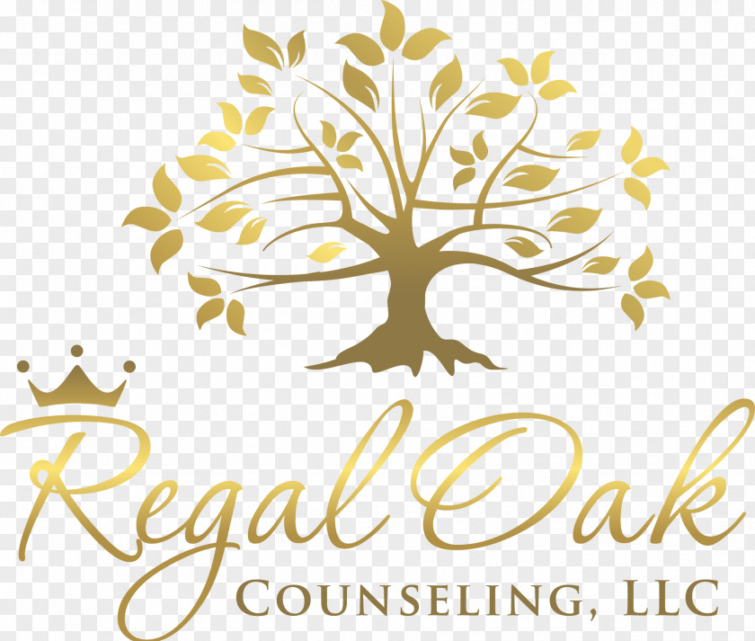 Counseling Mansfield Licensed Professional Counselor Mental Health Social Work Psychology PNG