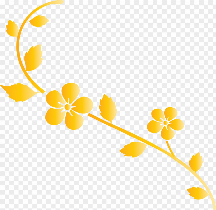 Flower Frame Decoration PNG