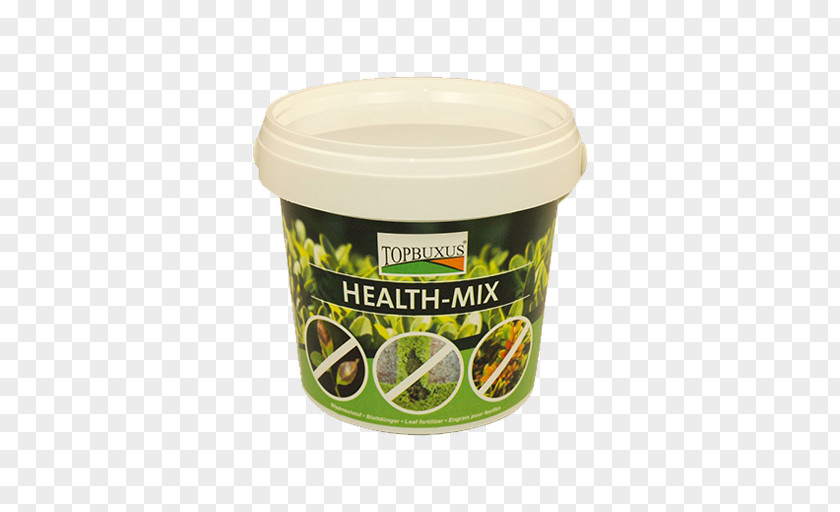 Health Boxwood Blight Preventive Healthcare Curative Care Therapy PNG