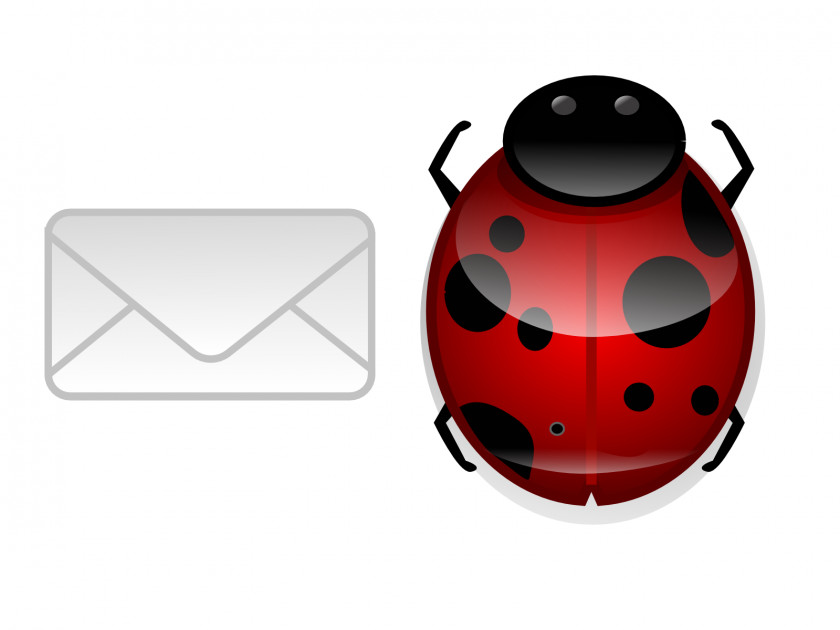 Ladybug And Mail Icon Ladybird Desktop Wallpaper PNG