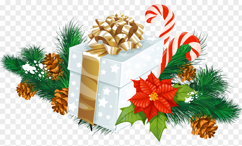 Leaf Conifer Christmas Gift New Year PNG