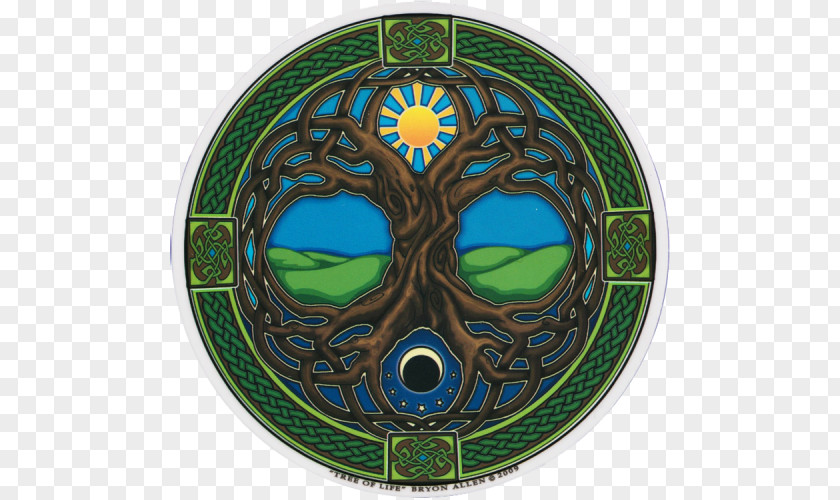 Symbol Celtic Sacred Trees Knot Art Celts Tree Of Life PNG