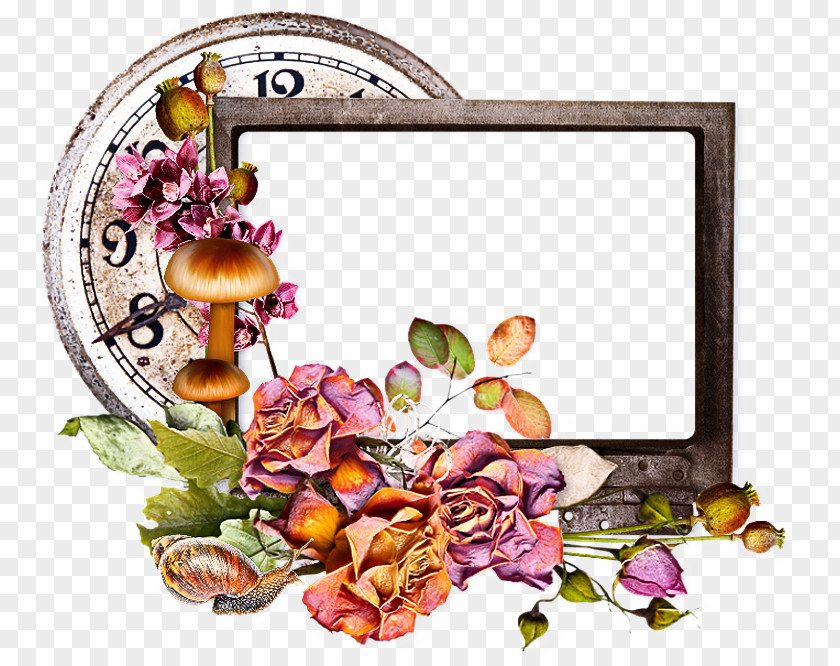 Blossom Petal Graphic Design Frame PNG