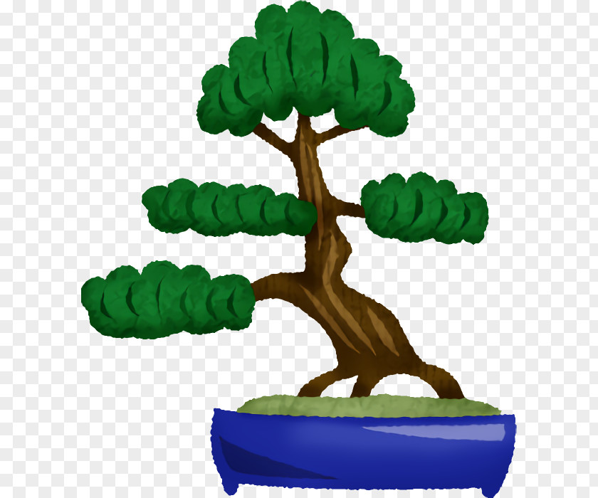 Bonsai Flowerpot M-tree Tree PNG