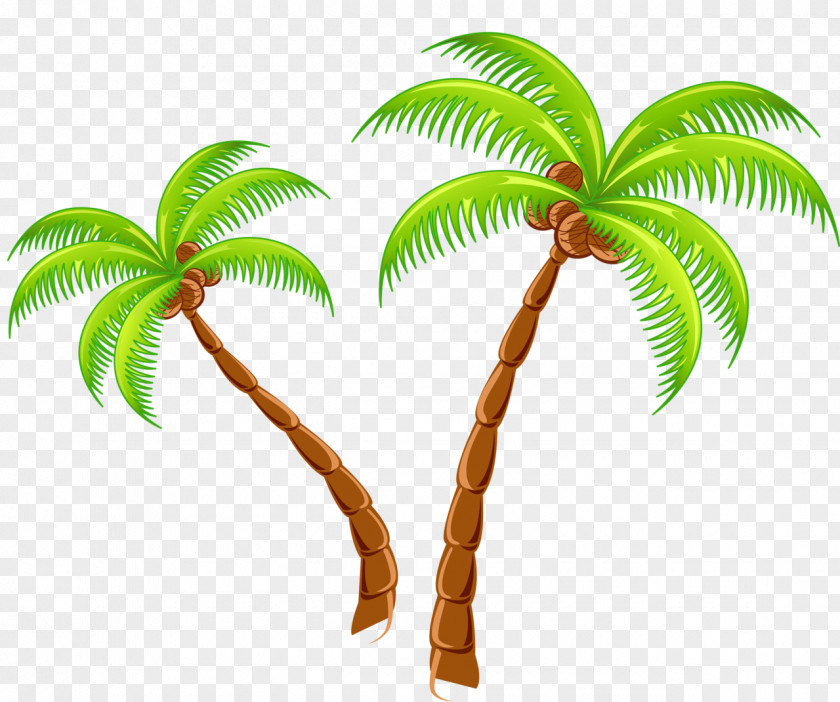 Coconut Tree Tropical Islands Resort Clip Art PNG