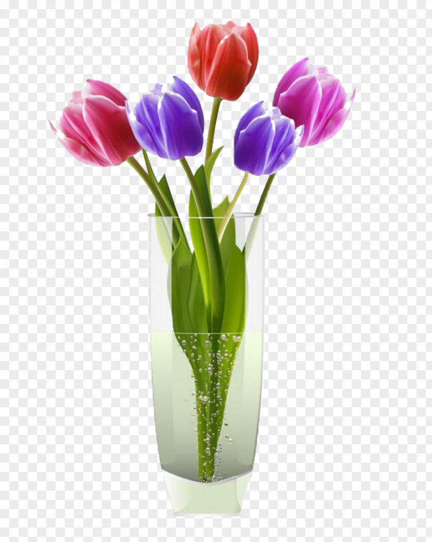 Cup Tulip Picture Material Vase Flower Clip Art PNG