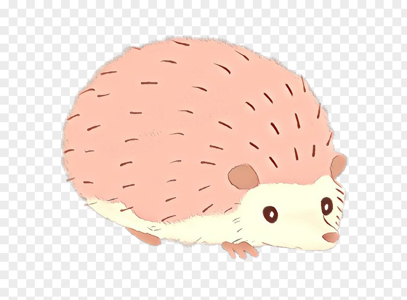 Hedgehog Cartoon Snout PNG