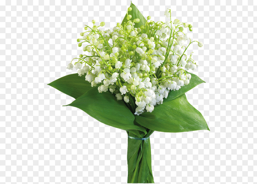 Lily Of The Valley Flower Bouquet Clip Art PNG