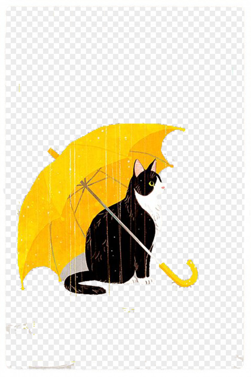 Rainy Day Material Free Download Find Cats Umbrella Rain PNG
