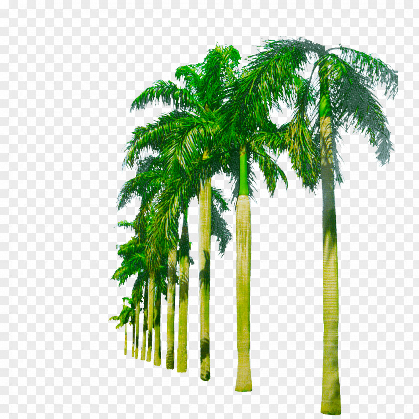 Tree Nearly Natural 5259 Paradise Artificial Palm Trees Plants Hammock Between Adonidia PNG