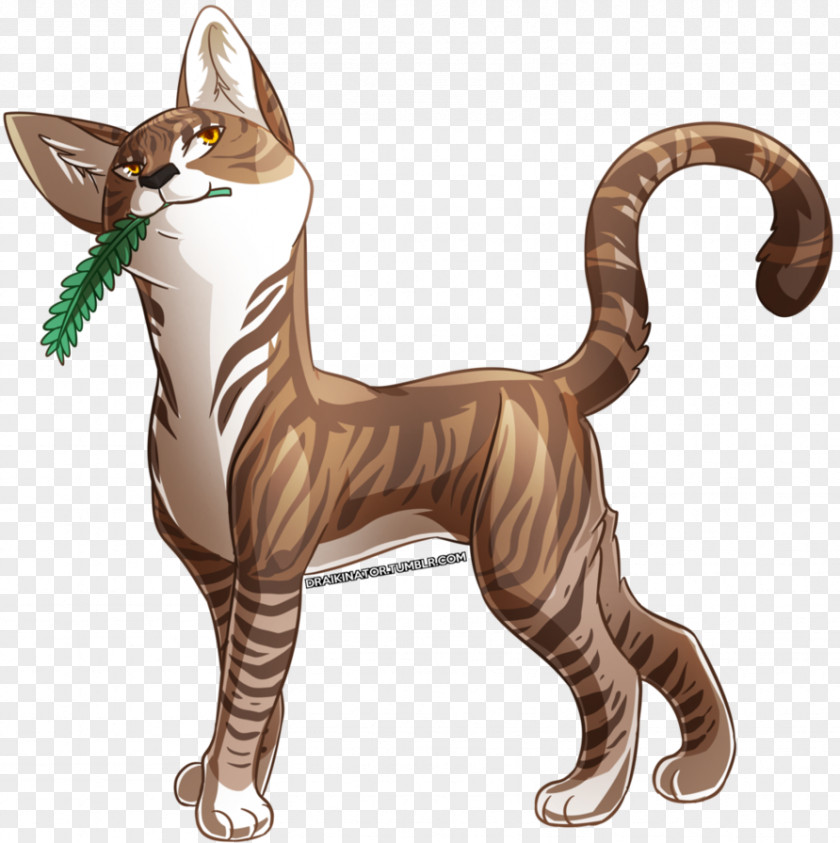 Cat Leafpool Digital Art ThunderClan PNG