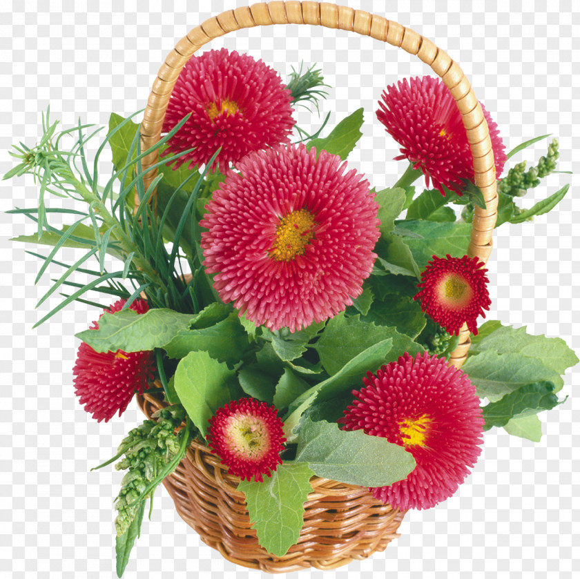 Chrysanthemum Picture Frames Basket Desktop Wallpaper PNG