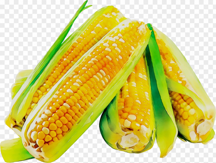 Corn On The Cob News Trade Economy PNG