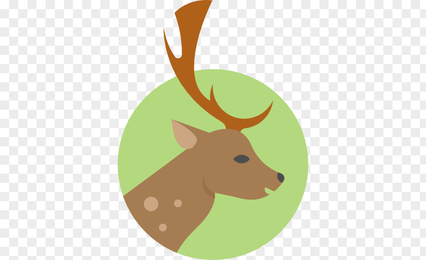 Deer Vector Reindeer Animal PNG