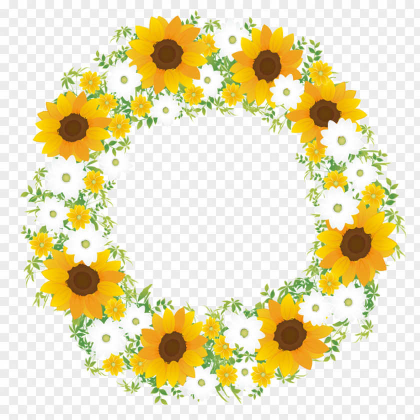 Flower Common Sunflower Color Scheme PNG