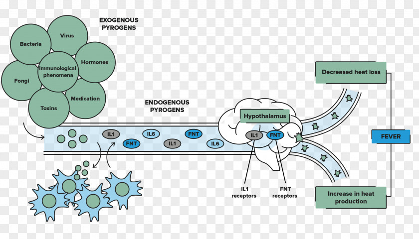 Foot Bacterial Virus Tree Technology Point PNG