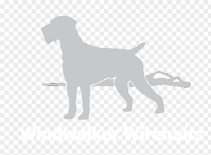 Puppy Dog Breed Sporting Group PNG