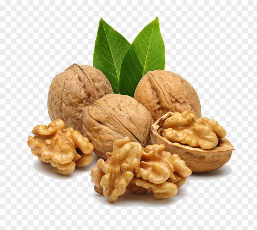 Walnut Nucule English Nuts Food Fruit PNG