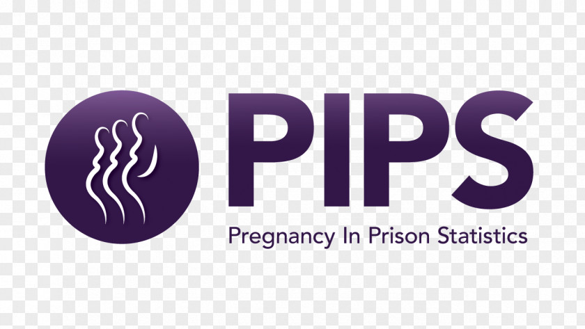 88 Prison Criminal Justice National Commission On Correctional Health Care United States Pregnancy PNG