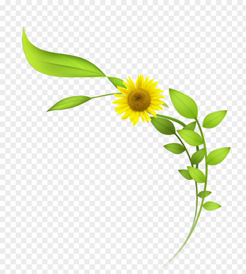 Cartoon Hand Painted Sunflower Common PNG