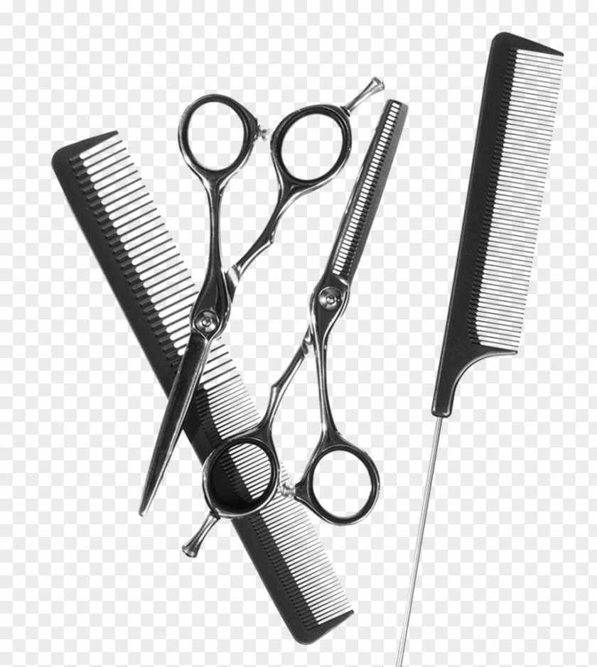 Hair Tool Comb Cosmetologist Cosmetology Beauty Parlour PNG