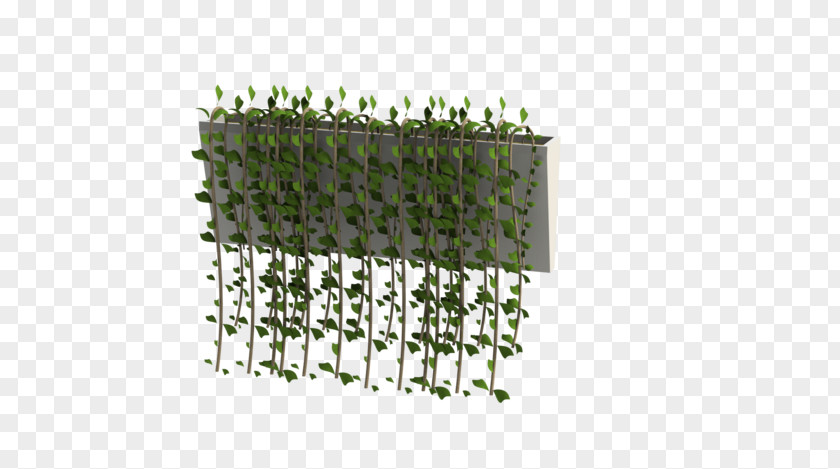 Hanging Plants GrabCAD Computer-aided Design 3D Modeling Computer Graphics Software PNG