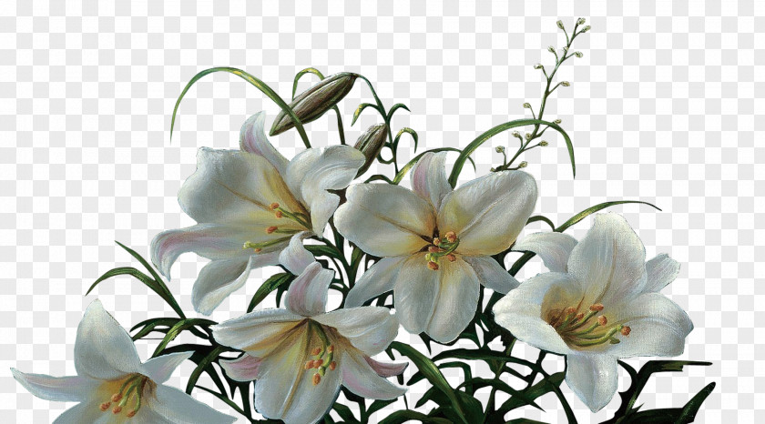 Lily Bouquet Flower Lilium Computer File PNG