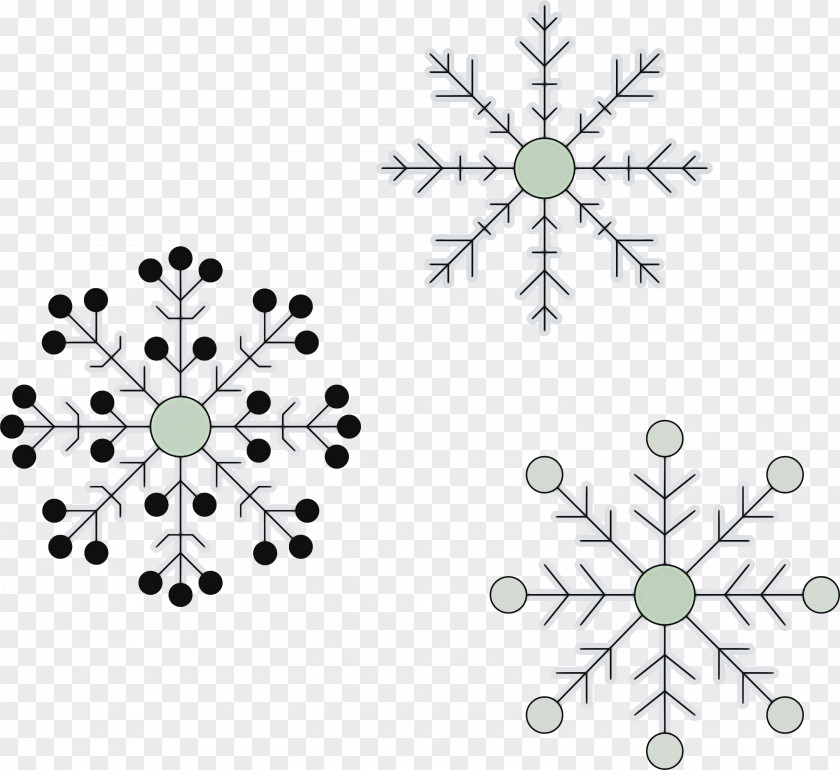 Pattern Pedicel Ornament Plant Symmetry PNG