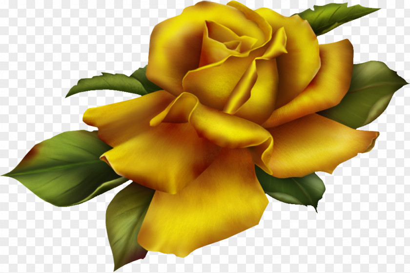 Rose Gold Garden Roses Golden Clip Art PNG