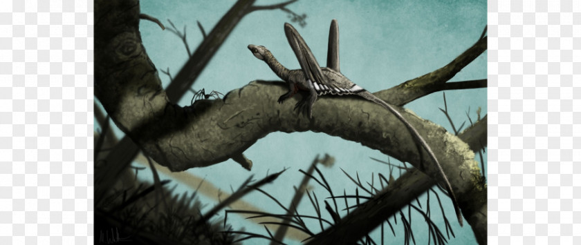Spider Sharovipteryx Dinosaur Evolution Pterosaurs PNG