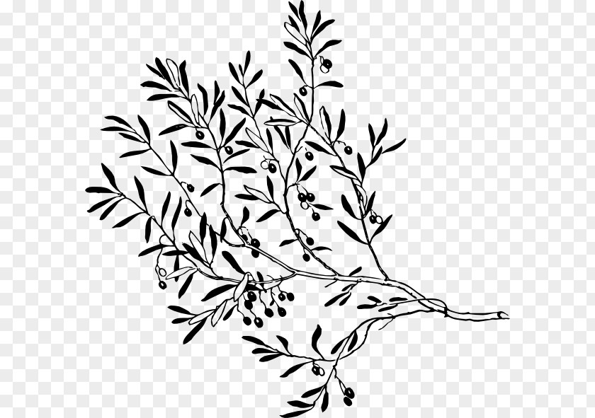 Sticker White Olive Tree Red Yellow PNG