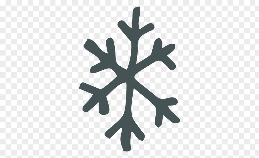 Cartoon Snowflake PNG