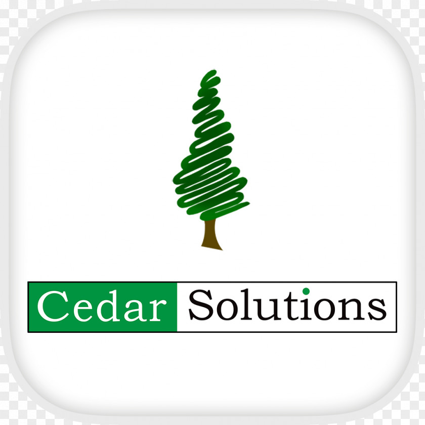 Cedar Solutions Accounting Payroll Accountant Management PNG