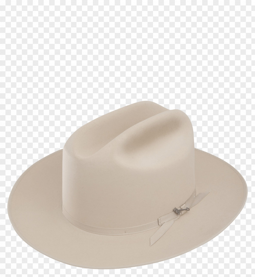 Hat Panama Stetson Fedora Pork Pie PNG